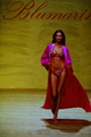 Blumarine (-2000) Blumarine (-2000)