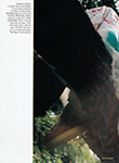 Vogue (UK-1999) Vogue (UK-1999)