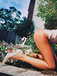 Arena (UK-2000) Arena (UK-2000)