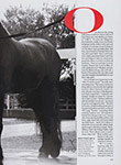 Vogue (USA-2001) Vogue (USA-2001)