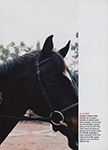 Vogue (Latino-America-2004) Vogue (Latino-America-2004)