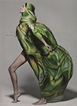 Harper's Bazaar (USA-2009) Harper's Bazaar (USA-2009)