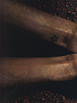 Vogue (Brazil-2015) Vogue (Brazil-2015)