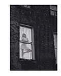 Porter (UK-2019) Porter (UK-2019)